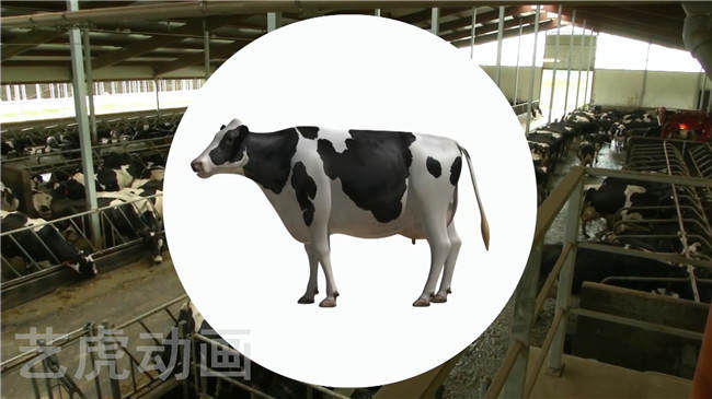 三維動畫場景設(shè)計(jì)